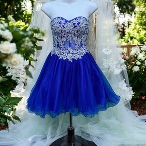 Blondie Nites blue silver sequin pageant glitz prom dress 1
